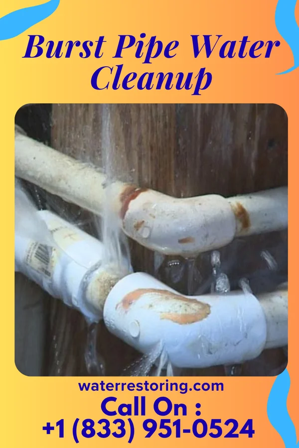 Burst Pipe Water Cleanup in Meridian, NY