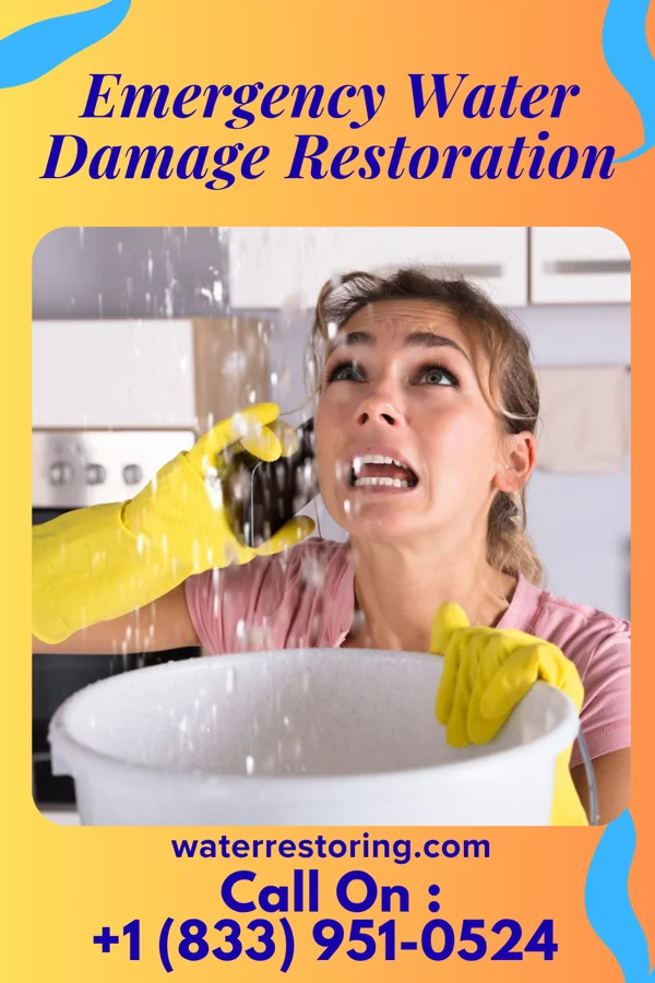 Emergency Water Damage Restoration in Meridian, NY