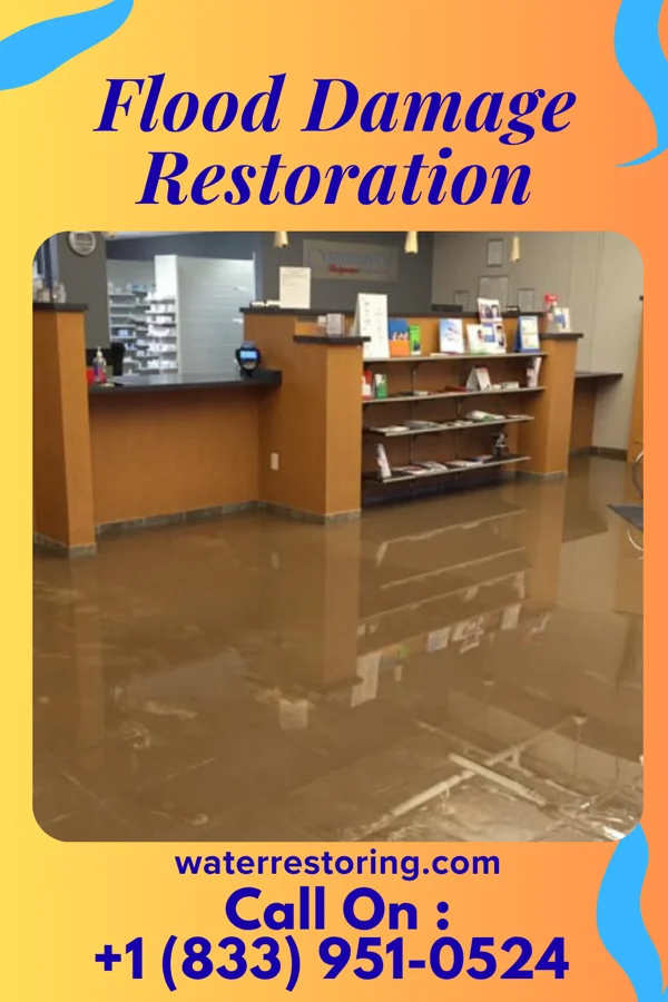 Flood Damage Restoration in Meridian, NY