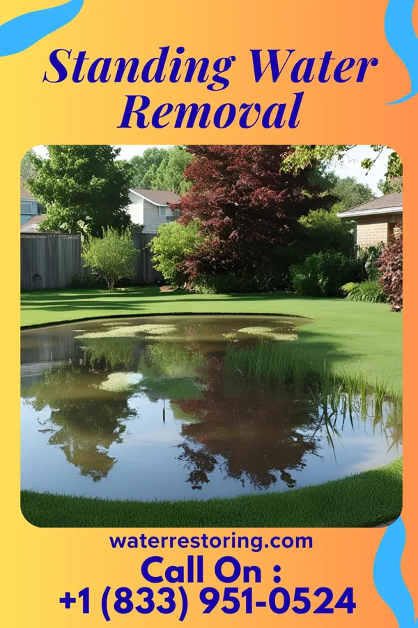 Standing Water Removal in Meridian, NY
